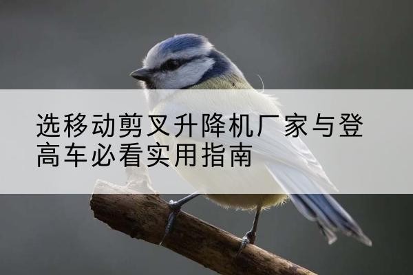 轮台电动升降机厂家-选移动剪叉升降机厂家与登高车必看实用指南
