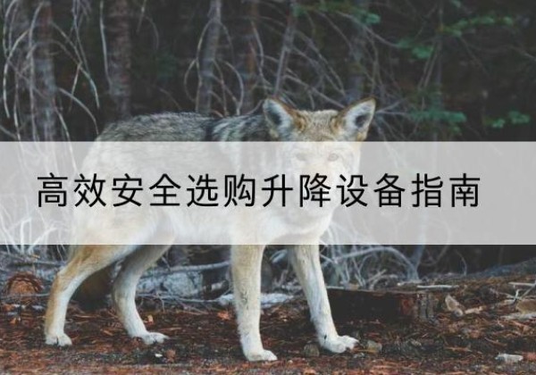 轮台升降货梯厂家推荐-*安全选购升降设备指南