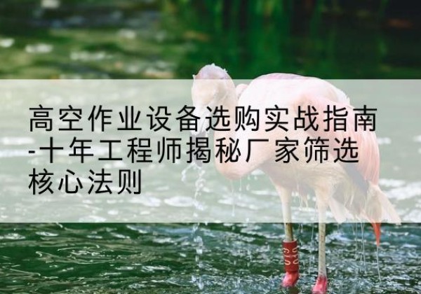 轮台剪叉式升降机厂家-高空作业设备选购实战指南-十年工程师揭秘厂家筛选核心法则